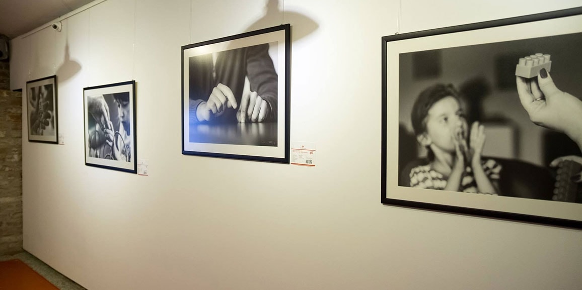 Asociația ASURA a participat la expoziția și licitația de fotografie și povești Stories of renewal.